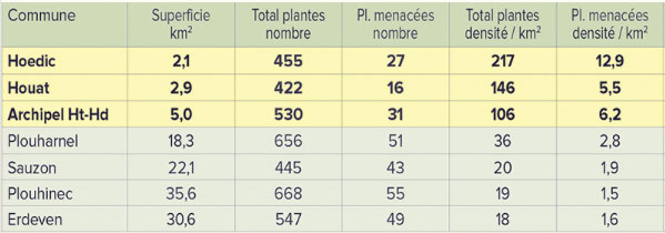 flore tableau synthetique